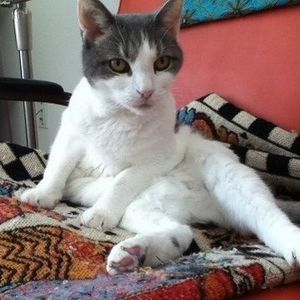 Meet your Posher, Mary